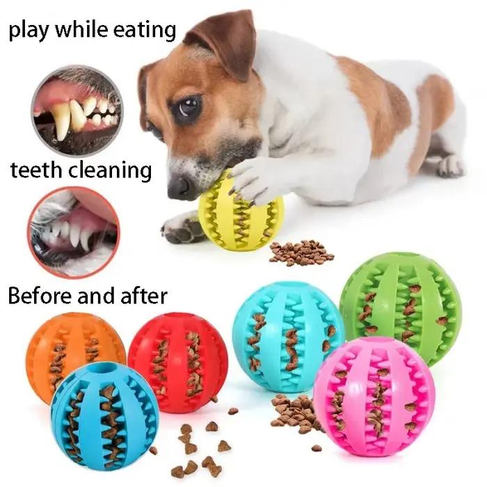 Jouets pour chiens en caoutchouc naturel