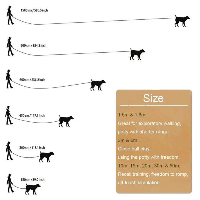 Longue laisse pour chien