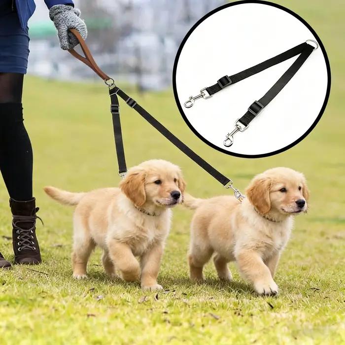 Laisse double pour 2 chiens