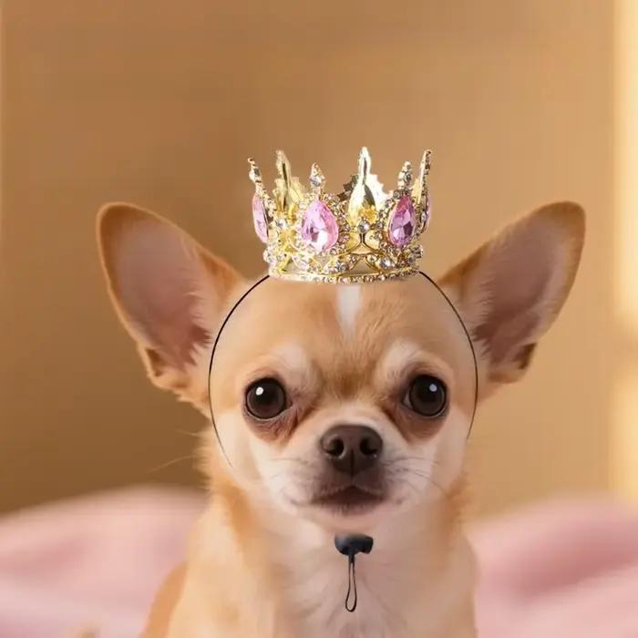 Bandeau couronne pour animaux de compagnie