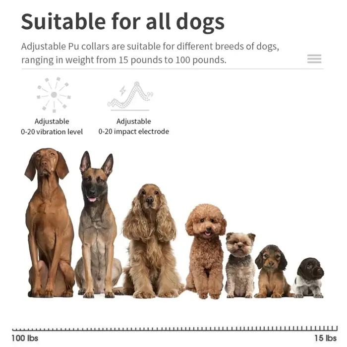 Collier anti-aboiement électrique pour animaux de compagnie