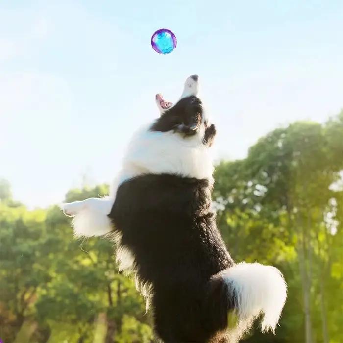 Balle à mâcher grinçante pour chien de compagnie, jouet à mâcher pour chiot, son pur et naturel, non