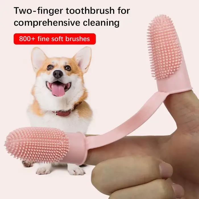 Brosse à Dents pour Animaux de Compagnie, Ensemble de Doigts pour Touristes, Livres Oraux pour Chien