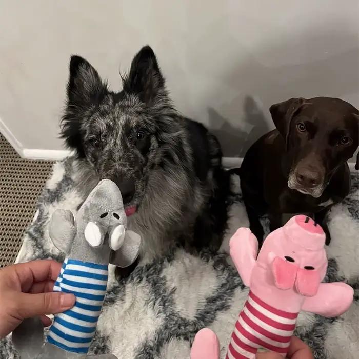 Paquet de 3/1 jouets grinçants pour chiens (éléphant/canard/cochon)-jouets à mâcher durables pour ma