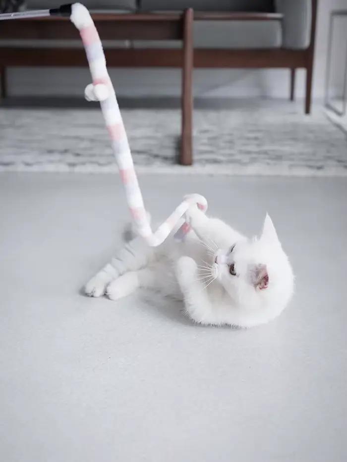 Jouet pour chat plume chat Teaser baguette chat jouet interactif drôle chenille coloré tige Teaser b