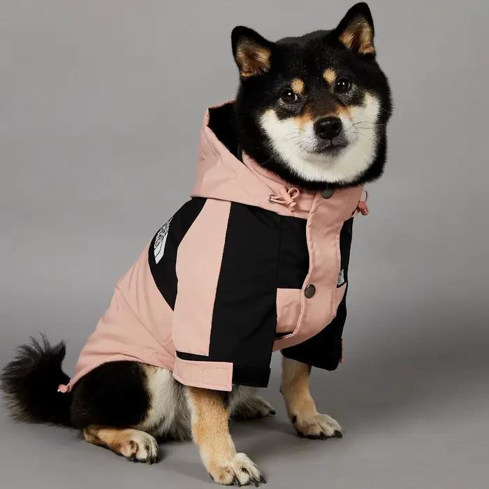 Vêtements pour chiens imperméable pour petits et grands chiens manteau coupe-vent bouledogue françai