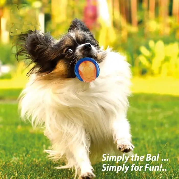 Balle à mâcher grinçante pour chien de compagnie, jouet à mâcher pour chiot, son pur et naturel, non