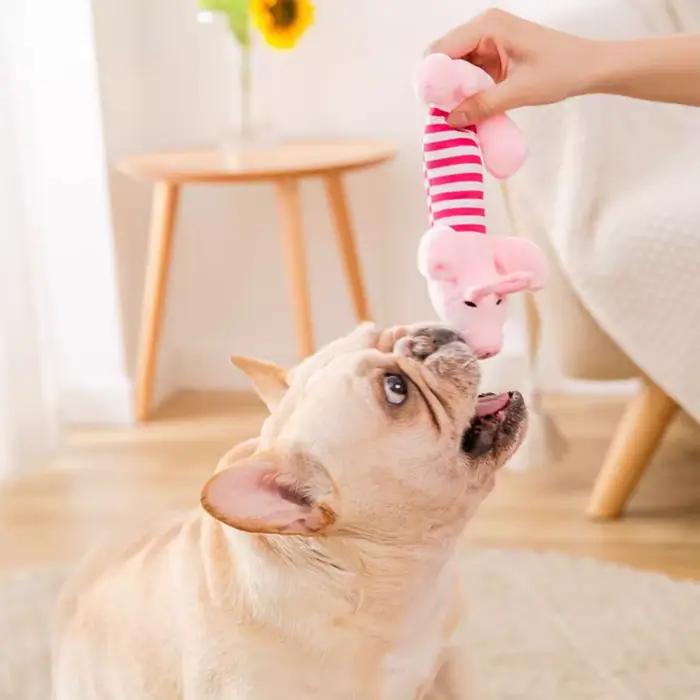 Paquet de 3/1 jouets grinçants pour chiens (éléphant/canard/cochon)-jouets à mâcher durables pour ma