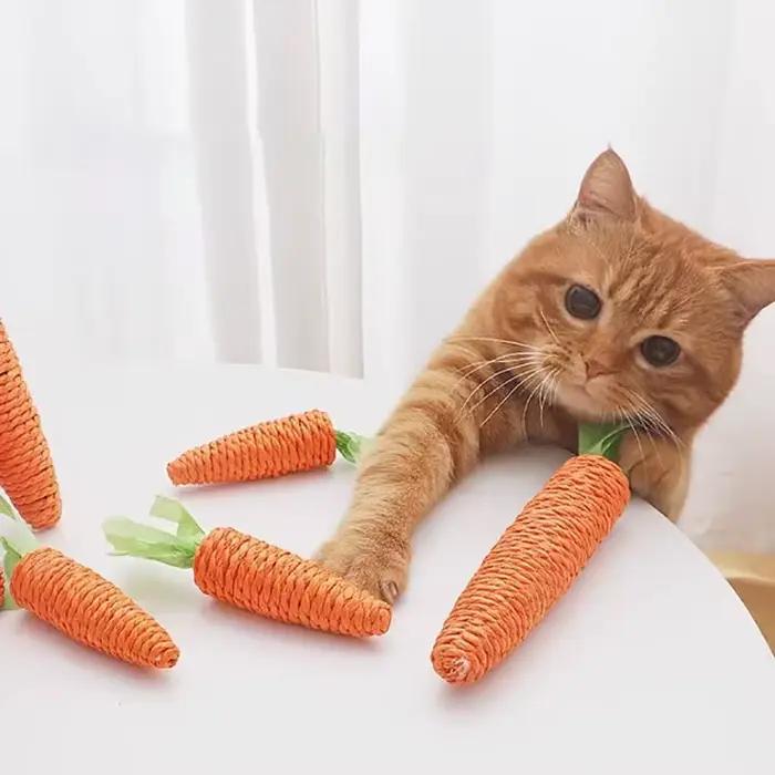 Jouets pour chats son carotte câlin bâton pour chat depuis amusant bâton de dentition pour chat anti