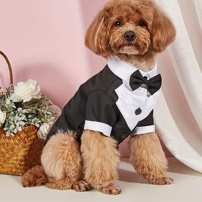 Chemise pour animaux de compagnie, vêtements pour petits chiens, Costume formel de mariage avec nœud