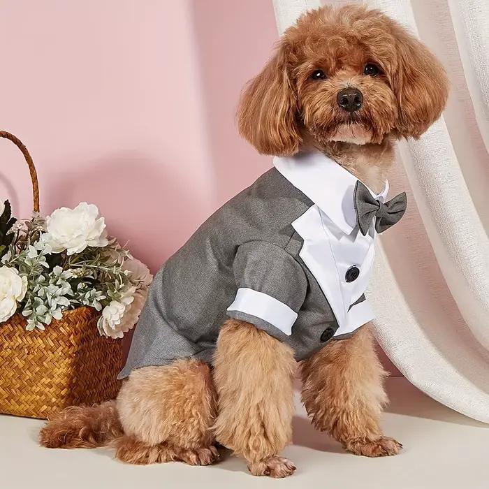 Chemise pour animaux de compagnie, vêtements pour petits chiens, Costume formel de mariage avec nœud