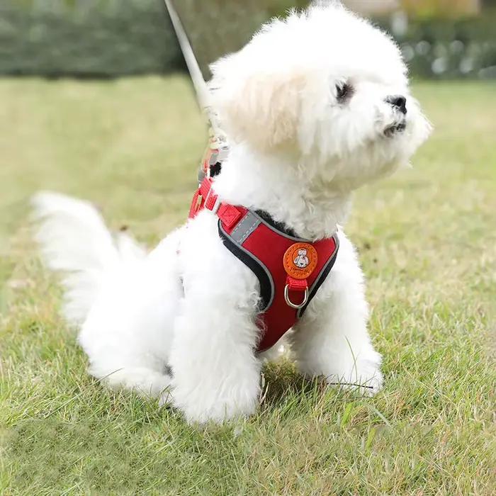 Harnais réglable pour chien, sans traction, chat mignon, ensemble de laisse de marche douce, gilet p