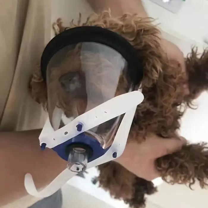 Masque d'anesthésie pour animaux de compagnie NO.1-NO.6 pour chiens et chats, réanimateur manuel tra