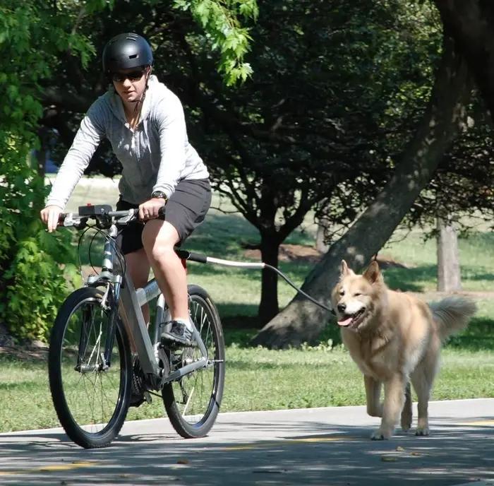 Laisse pour chien de marche de vélo, laisse pour chien, laisse de vélo élastique amovible pour chien