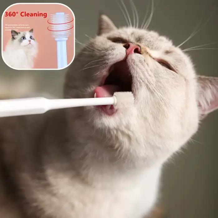 Brosse à dents pour chat, accessoire doux pour le nettoyage de la bouche, produits pour animaux de c