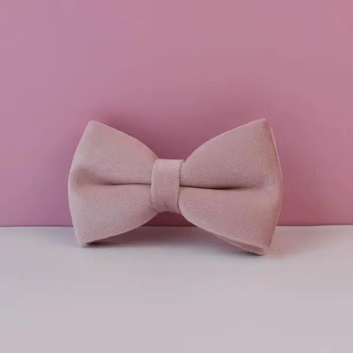 Ensemble collier et laisse pour chien en velours rose pâle, plaque nominative gravée sur mesure, fou