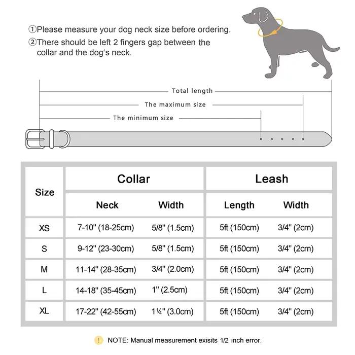 Collier d'identification de chien personnalisé avec laisse, ensemble collier et laisse en cuir PU re