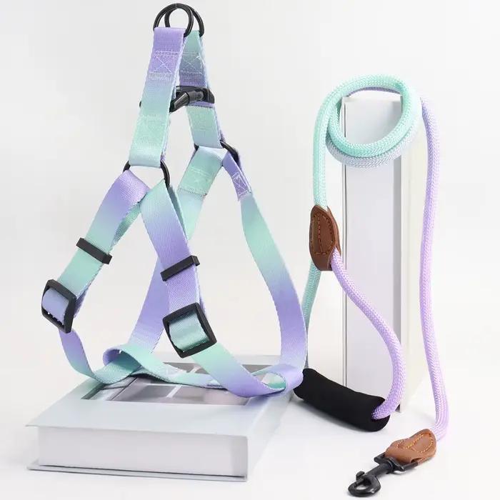 Harnais coloré pour animaux de compagnie avec laisse et laisse pour chien, utilisation intérieure et
