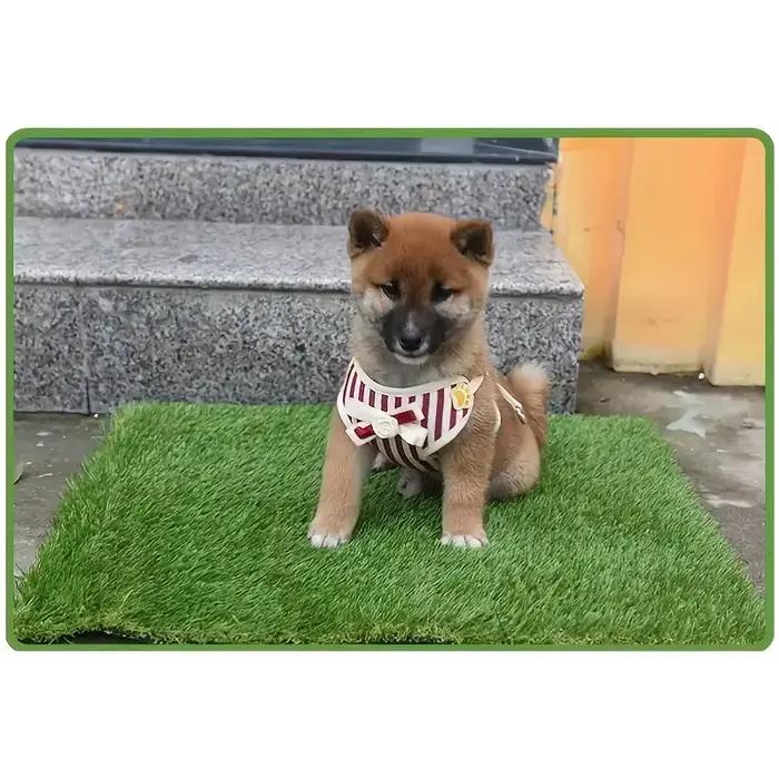 Coussin de pot pour chien en herbe artificielle – Solution de formation pour animaux de compagnie in