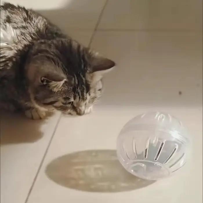 12 14.5cm Hamster souris sport Fitness balle de course drôle jouet pour animaux de compagnie pour Mi