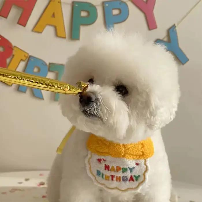 Rendez le spécial anniversaire de votre animal de compagnie avec ce adorable ensemble de chapeaux et