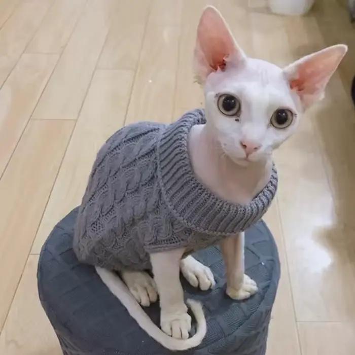 Chaud tricoté Sphynx chat pull hiver vêtements pour animaux de compagnie pour chats mascotas vêtemen