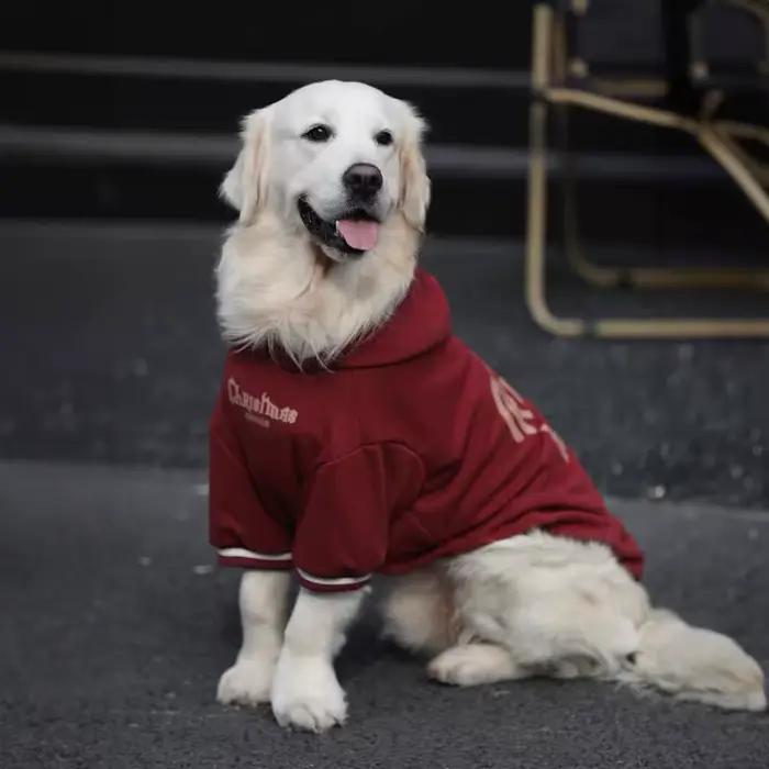 Manteau pour chien pour grandes races, veste d'hiver épaisse doublée de polaire, vêtements d'hiver p