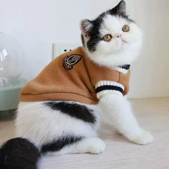 Pull d'hiver pour animal de compagnie, veste pour chien et chat, veste pour chiot, Costume Ubranka D