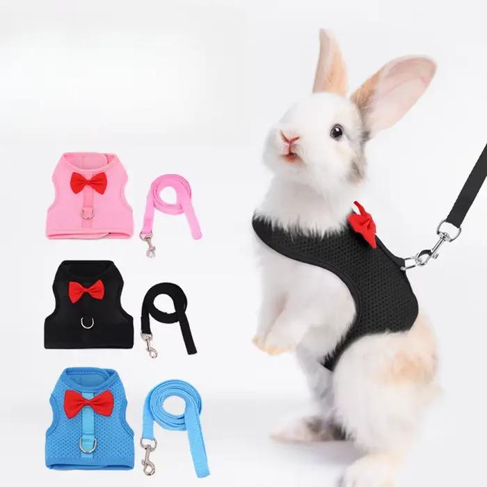 Laisse de gilet rembourrée confortable sans traction pour lapin, harnais de lapin, petit animal de c