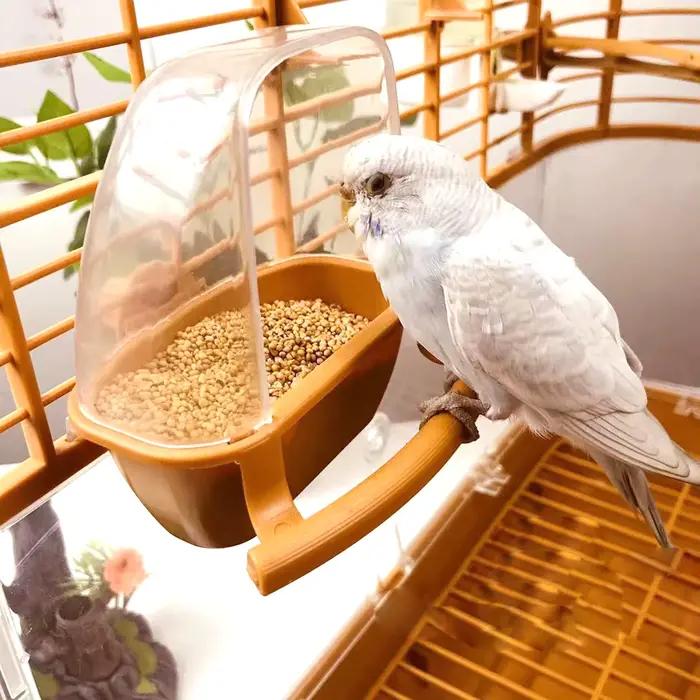 Mangeoire à oiseaux pour perroquets, bol suspendu à l'eau, boîte d'alimentation pour perruches, Cage