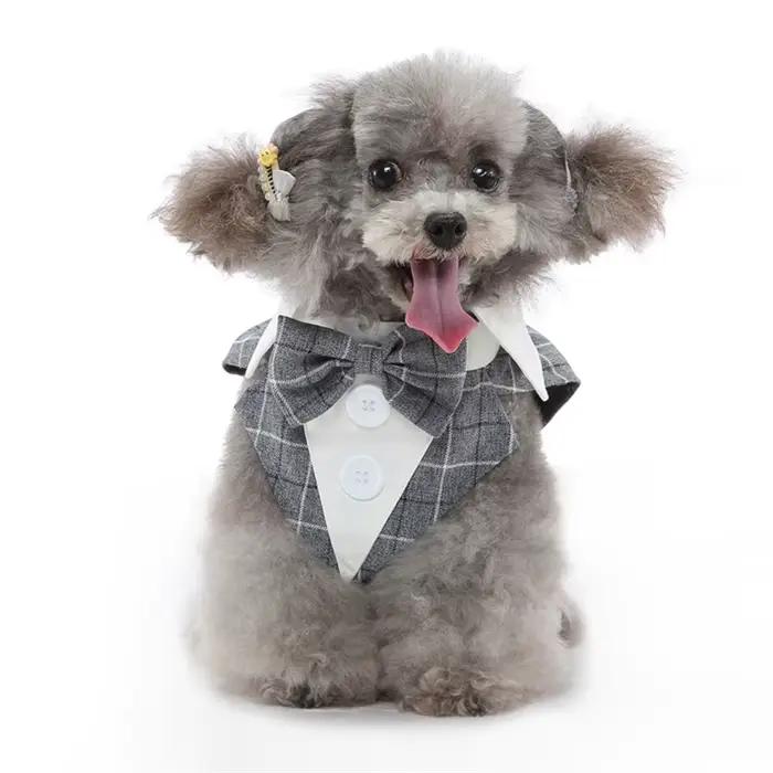 Costume de luxe pour petit chien mâle, de haute qualité, style queue de chien, pour Chihuahua, Malte