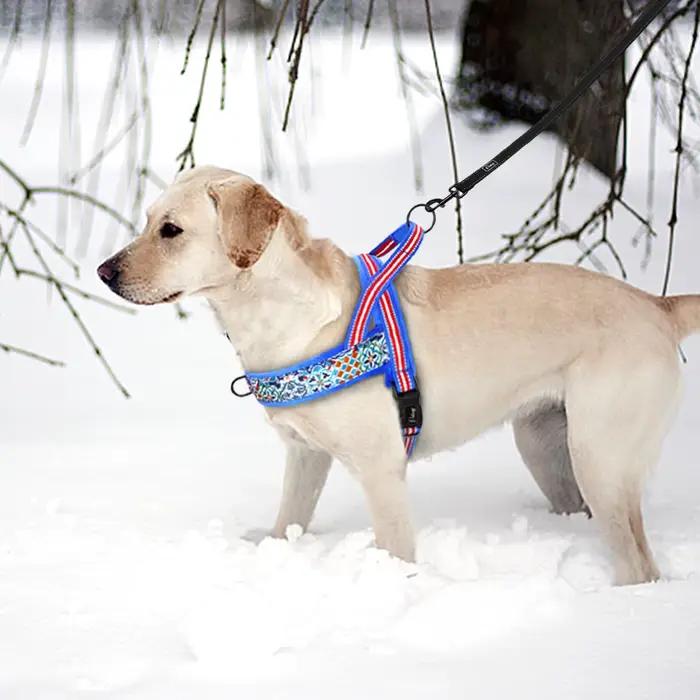 Harnais chaud pour chien, gilet d'hiver pour chien, doux et rembourré, harnais d'entraînement pour a