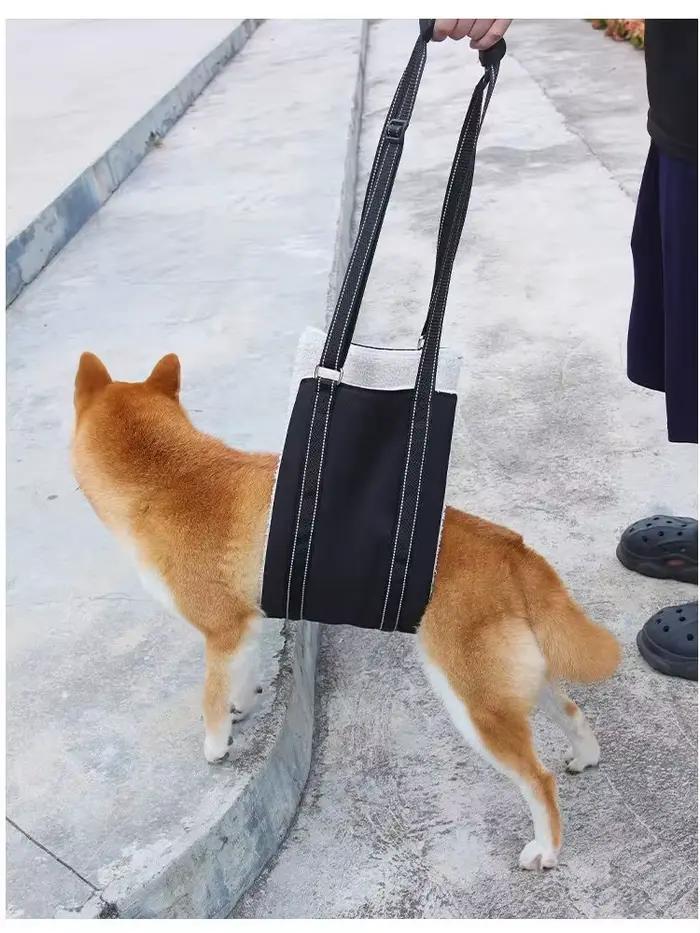 Laisse de Sécurité Auxiliaire pour Animaux de Compagnie, Réglable, pour Personnes Âgées et Chiens, S