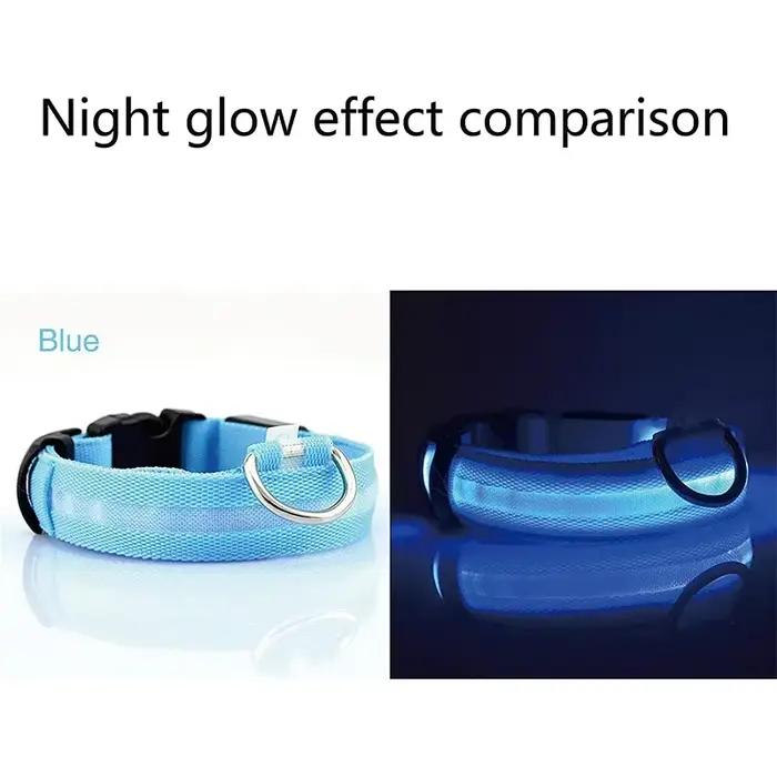 Colliers de chien lumineux LED, Rechargeable, étanche, lumineux, réglable, veilleuse pour chien, col