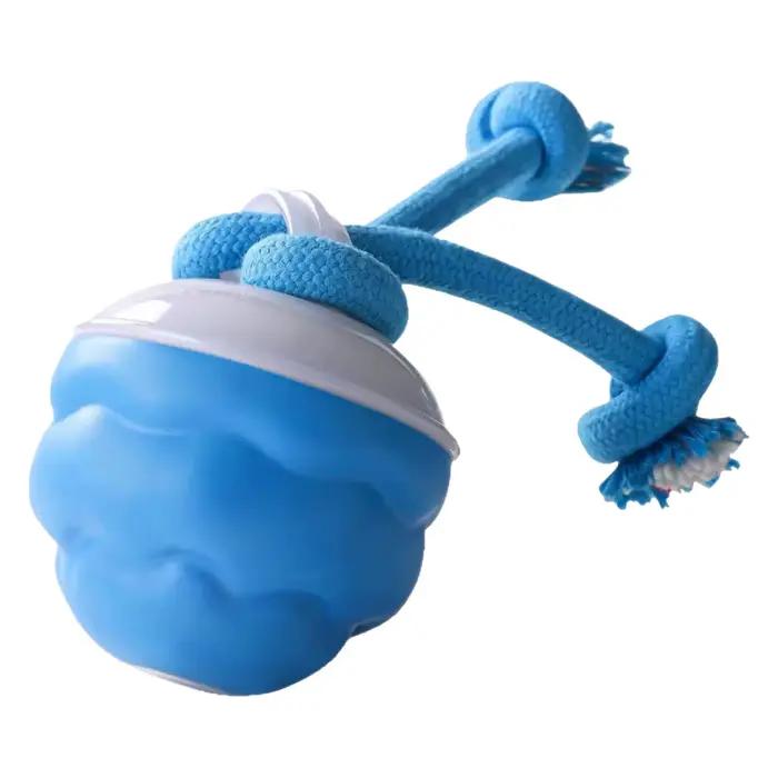 Jouet stimulant pour chien The Chase Buddy, balle intelligente pour chiot avec cordes, balle interac