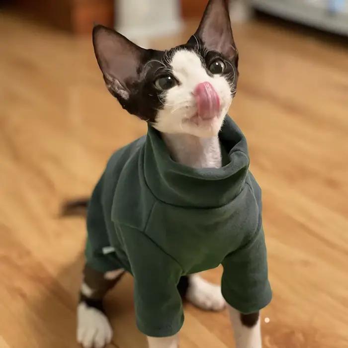 Sphynx chat vêtements bébé coton doux automne hiver chaton petit chien vêtements pour Cornish Devon