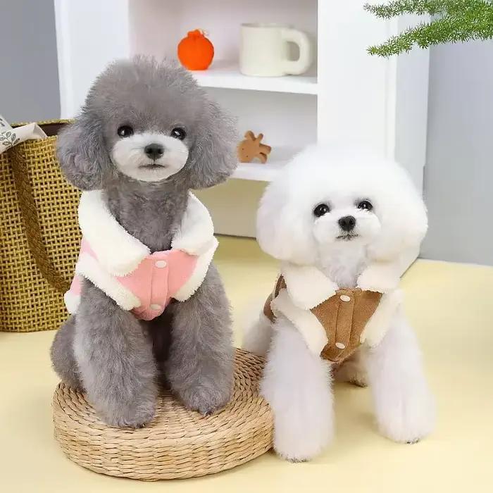 Veste d'hiver en coton pour chien, vêtements chauds pour petits et moyens chiens, manteau pour chiot