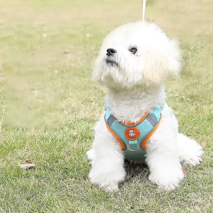 Harnais réglable pour chien, sans traction, chat mignon, ensemble de laisse de marche douce, gilet p