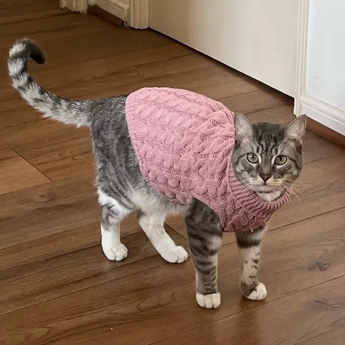 Chaud tricoté Sphynx chat pull hiver vêtements pour animaux de compagnie pour chats mascotas vêtemen