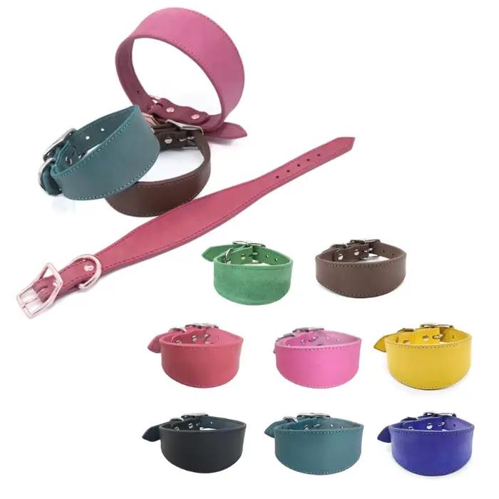 Colliers en pour lévriers, rembourrage doux, larges, pour Whippets, Lurchers, Salukis, races moyenne