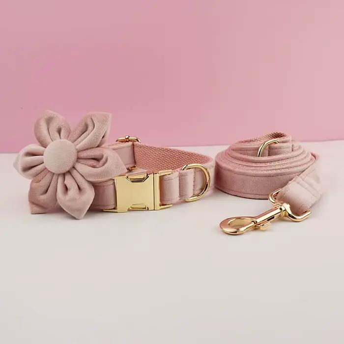 Ensemble collier et laisse pour chien en velours rose pâle, plaque nominative gravée sur mesure, fou