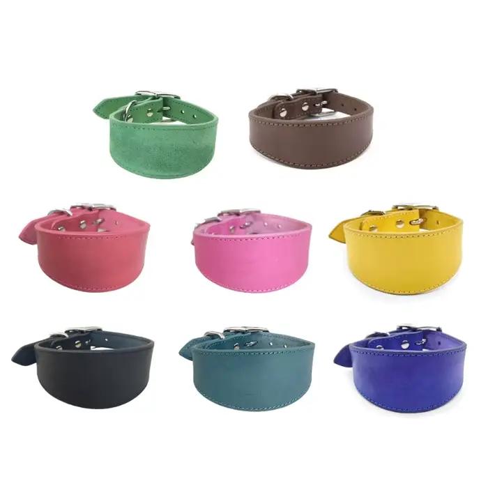 Colliers en pour lévriers, rembourrage doux, larges, pour Whippets, Lurchers, Salukis, races moyenne