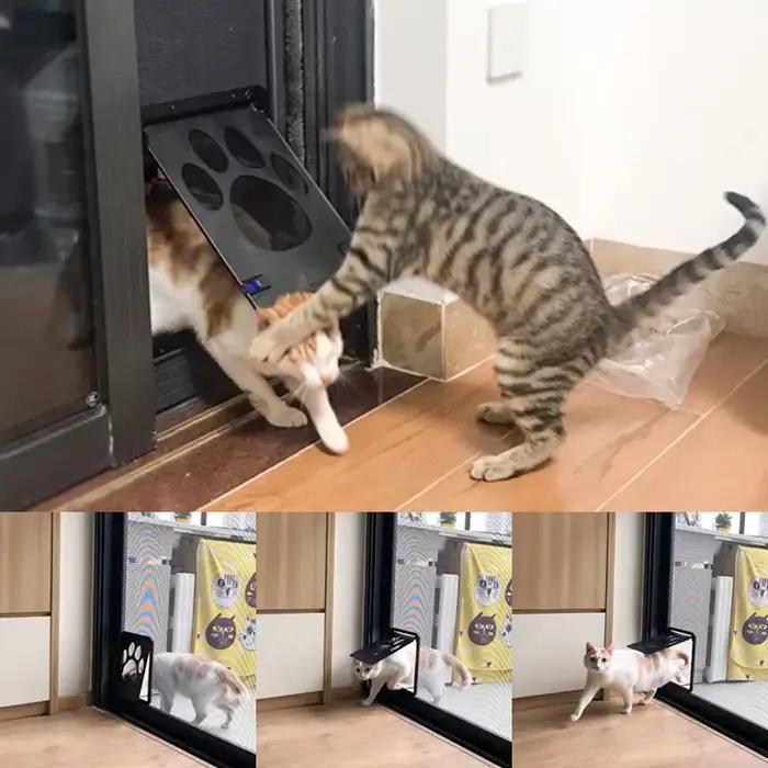 Écran magnétique verrouillable pour animaux de compagnie, porte de fenêtre, maison, entrée libre, fa