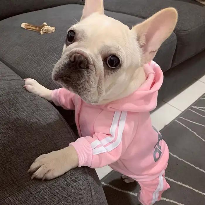 Sweat à capuche pour chien à quatre pattes, combinaison pour chiot, salopette avec lettres pour peti