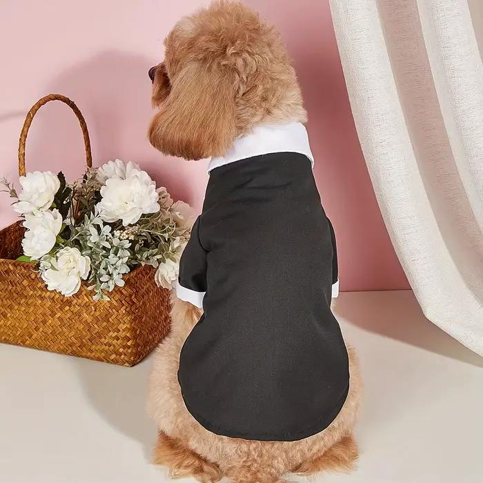 Chemise pour animaux de compagnie, vêtements pour petits chiens, Costume formel de mariage avec nœud