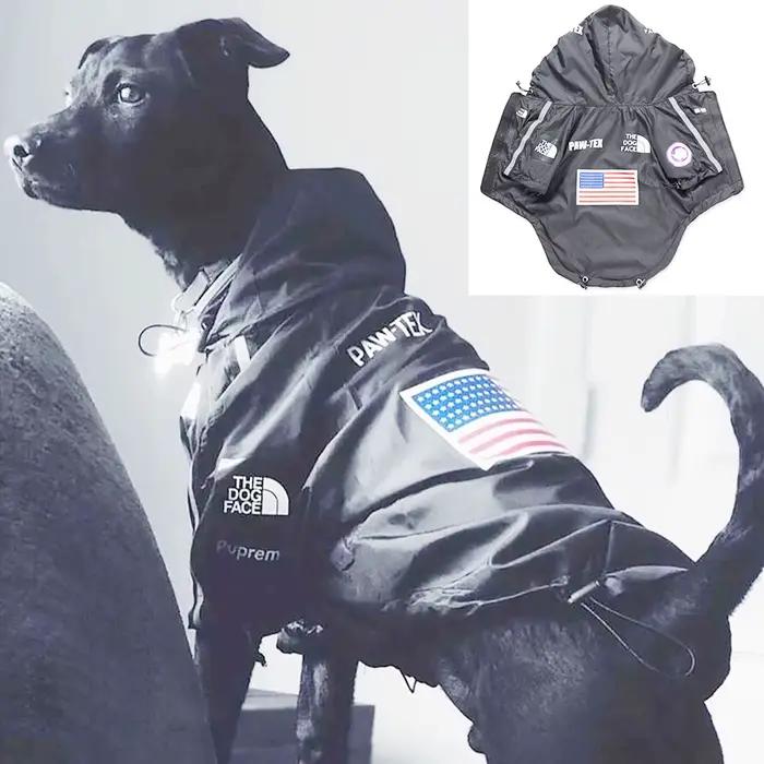 Manteau imperméable pour chien, veste réfléchissante à capuche pour chien, vêtements d'extérieur pou