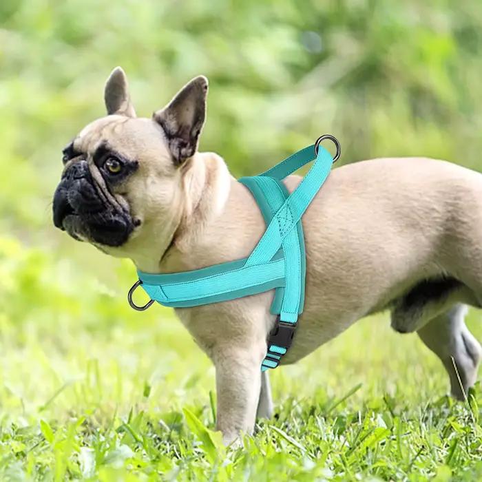Harnais en Nylon rembourré doux pour chien, sans traction, gilet réglable pour chiot, carlin, gilet