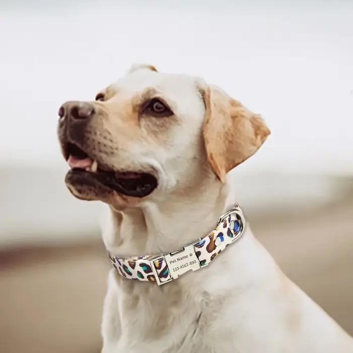 Collier de chien personnalisé avec nom gravé gratuit, colliers avec plaque signalétique personnalisé