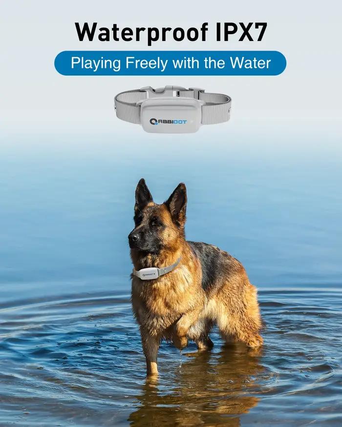 Collier de choc électrique de dressage de chien ABBIDOT-T30 pour les fournitures d'équipement canin