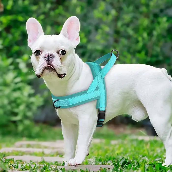Harnais en Nylon pour chien, sans traction, gilet doux rembourré, gilets de marche pour animaux de c